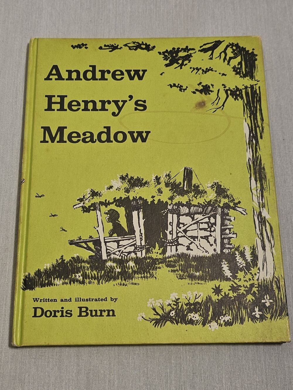 Andrew Henry's Meadow Doris Burn 1965 Weekly Childrens Reader Book Club Vintage